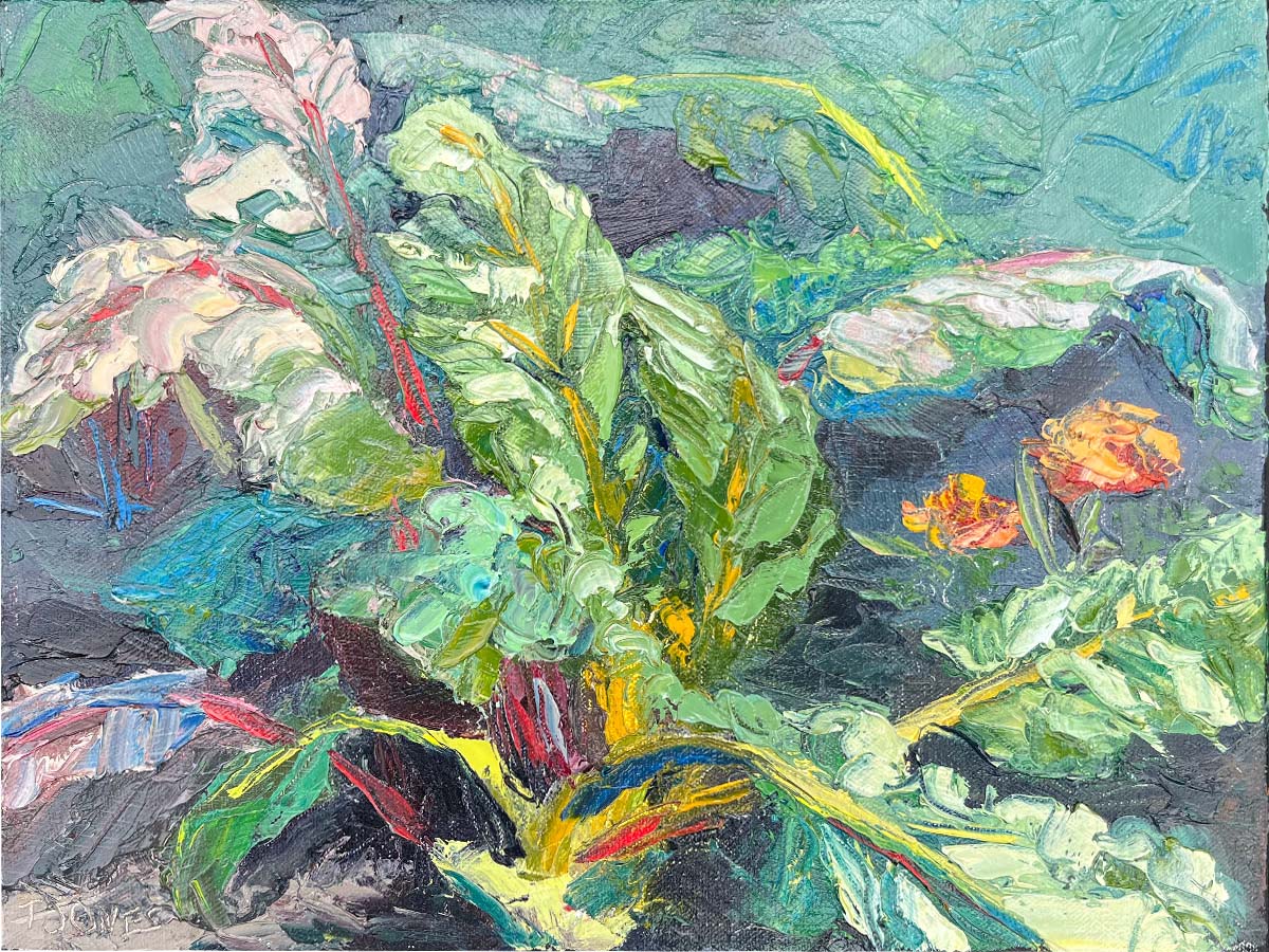 Chard Harvest